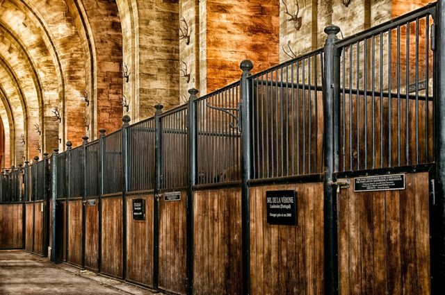What You Need To Know About Horse Stalls