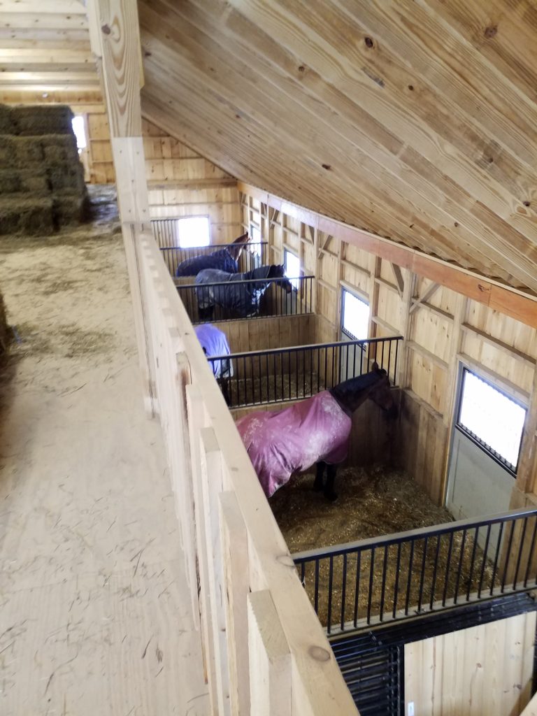 Interior of horse barn with horses in stables