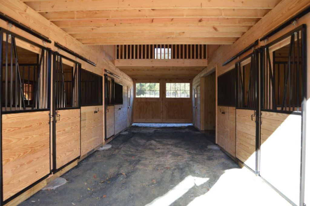 luxury horse stall essential designs