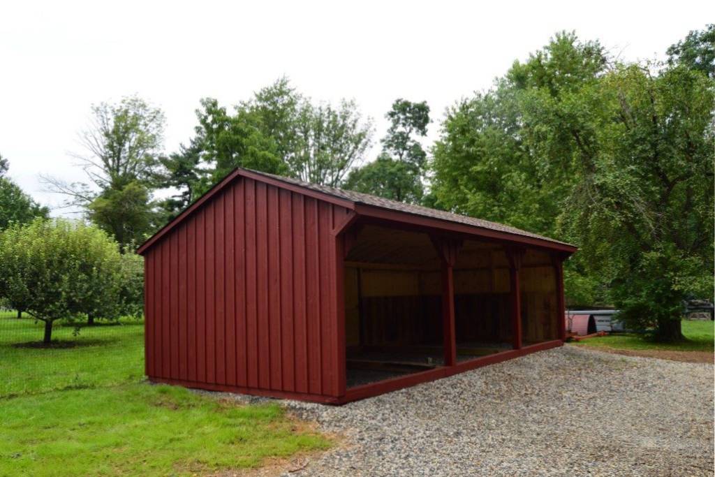 red horse loafing shed in the woods